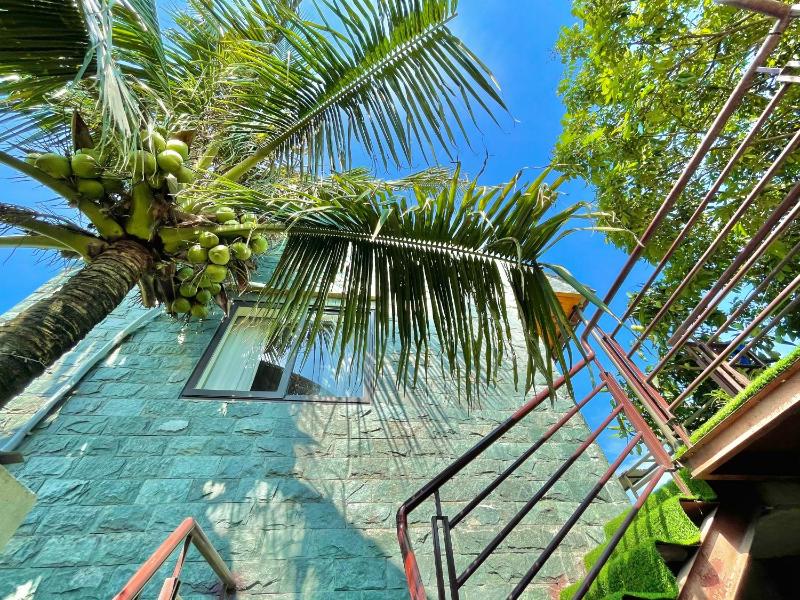 Hang Mua Nature Homestay - image 29