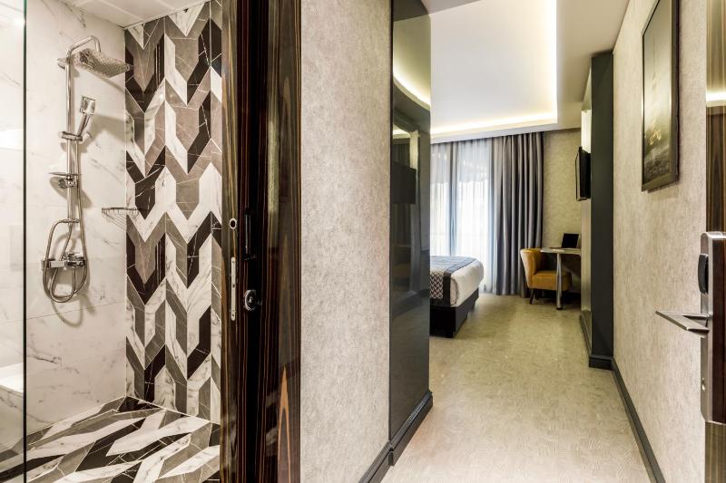 Deluxe Double or Twin Room image 4