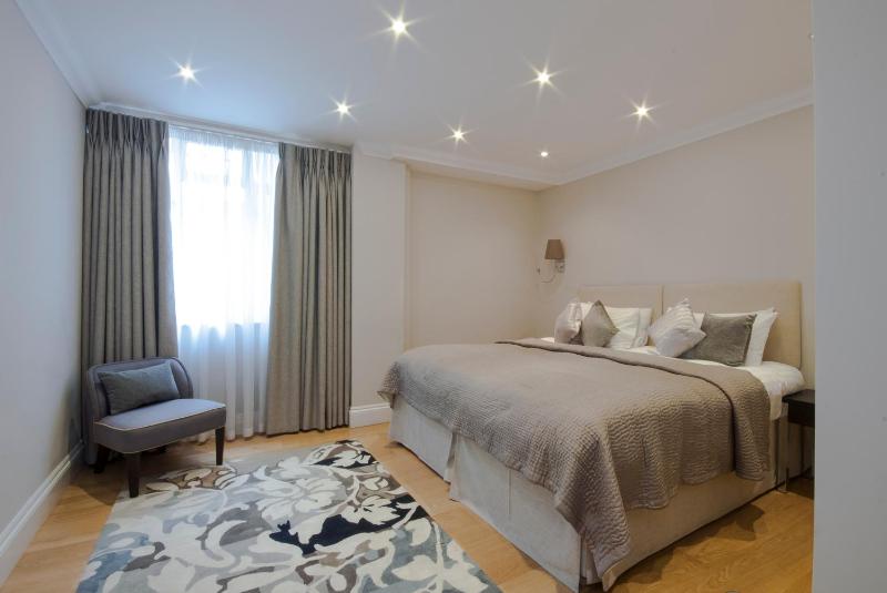 One-Bedroom Apartment image 1