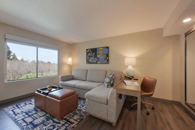 One-Bedroom King Suite image 2