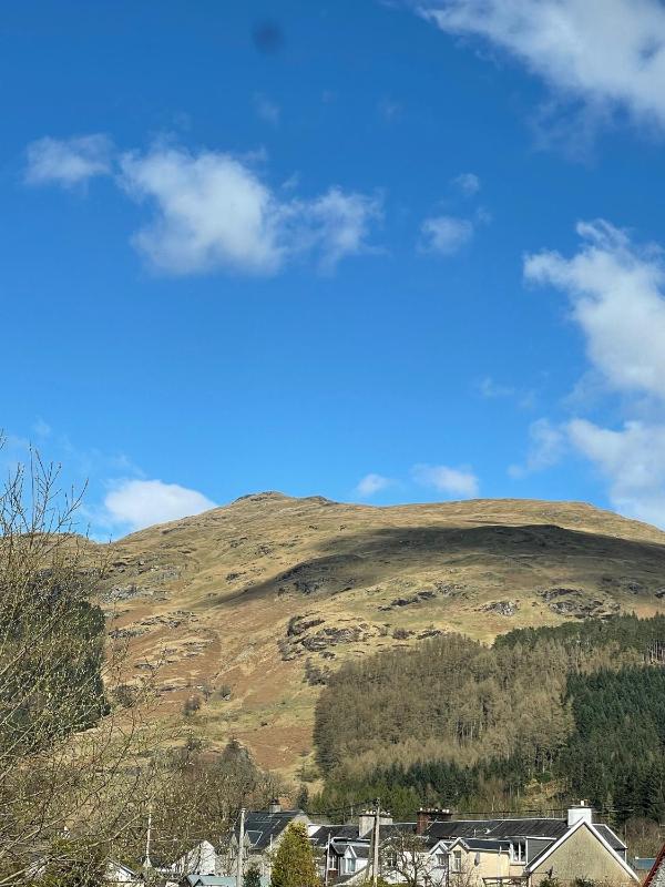 Standard Twin Room image 3