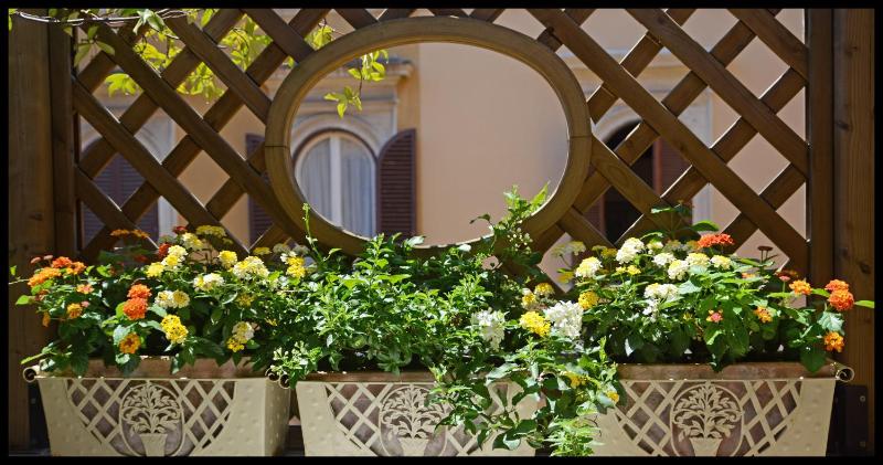 Superior Double Room image 4