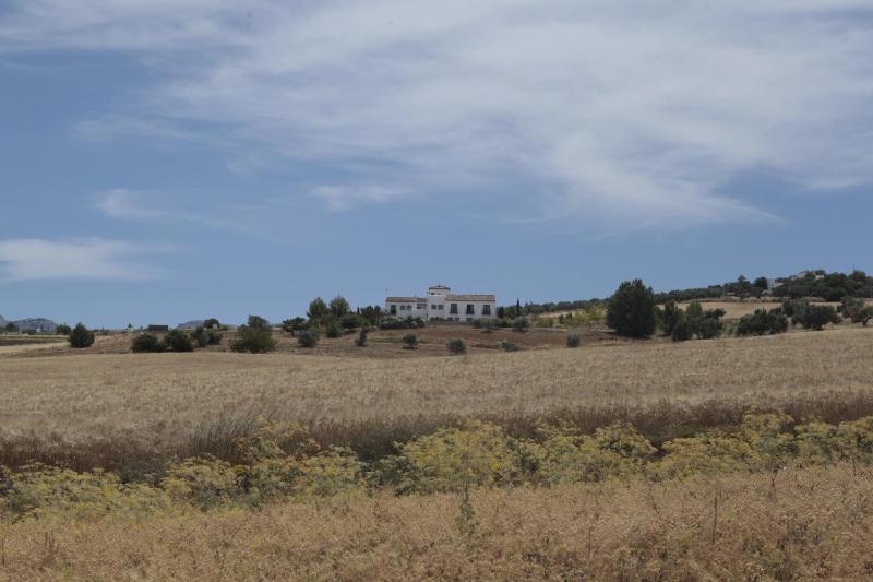 Arriadh Hotel - image 7