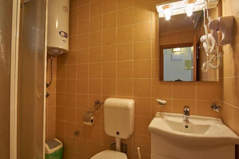 Hotel Vila Ružica- glavna zgrada i depandanse - image 8