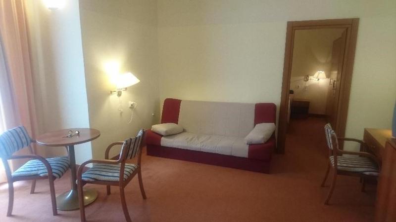 Hotel Vila Ružica- glavna zgrada i depandanse - image 17