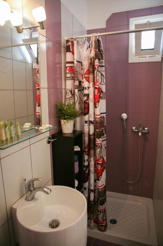 Double or Twin Room image 4