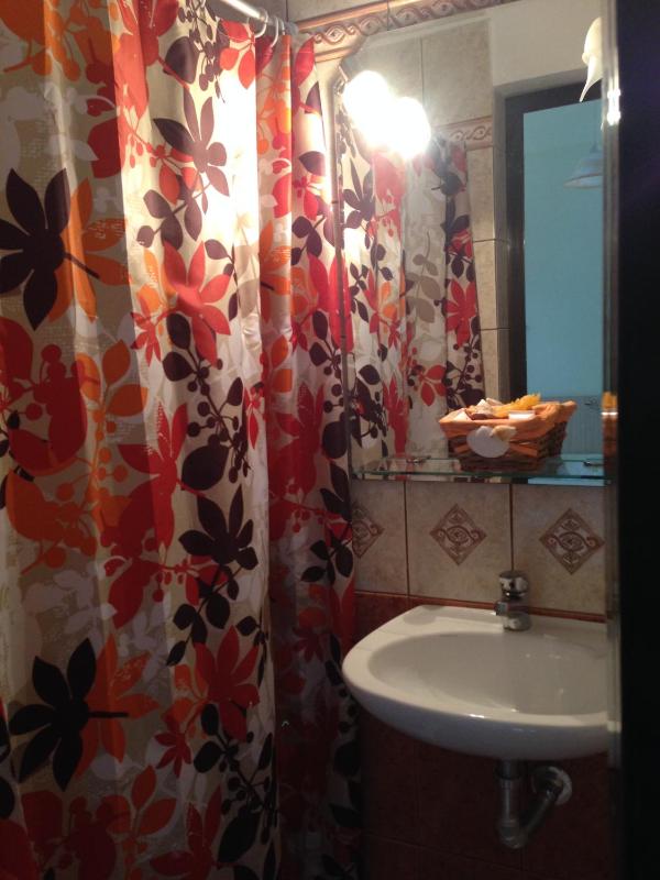 Double or Twin Room image 3
