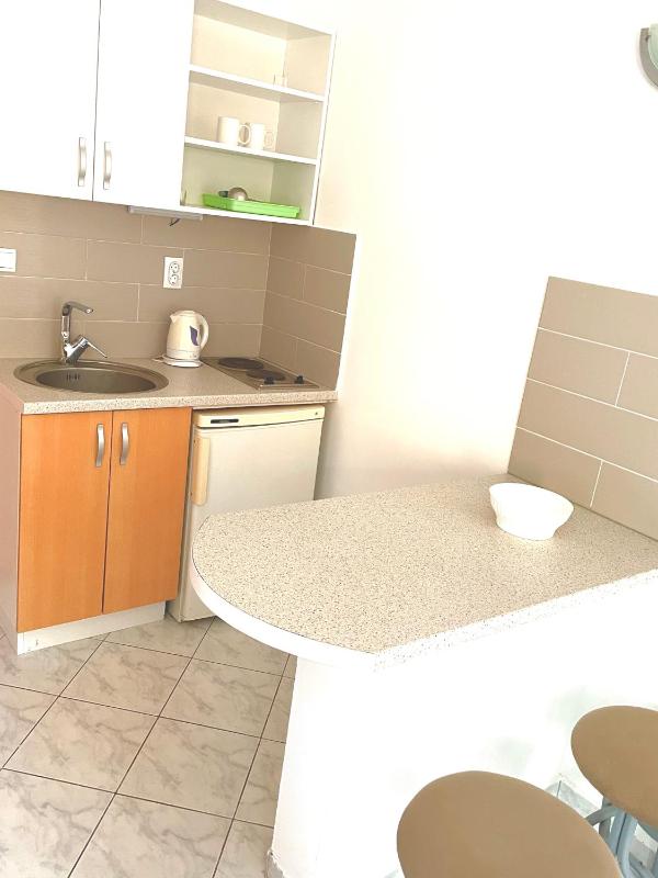 Studio with Mountain View image 4