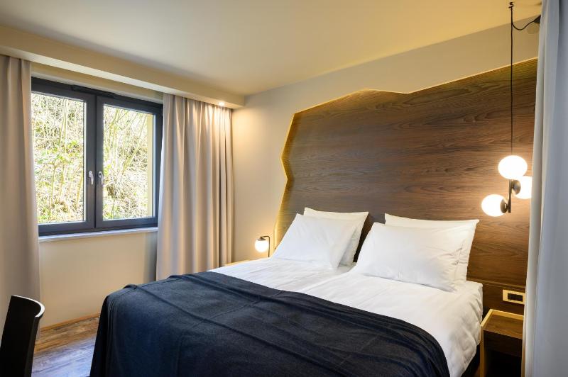 Double or Twin Room image 4