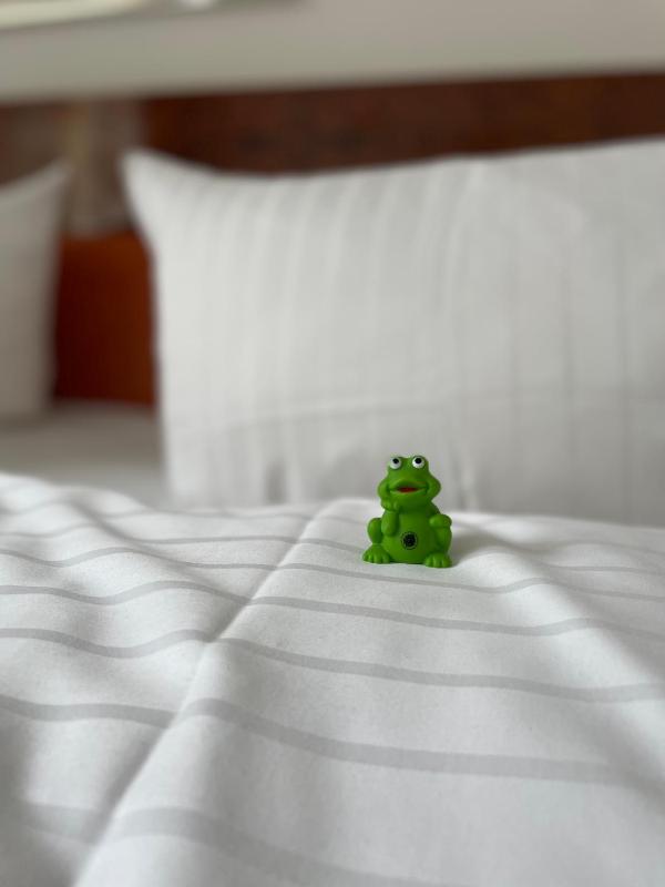 Classic Twin Room image 2