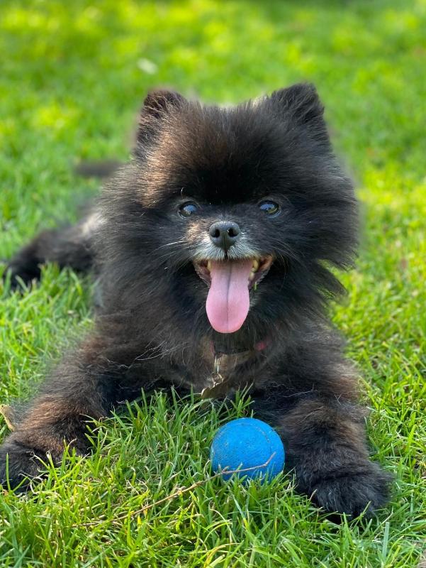 Classic Double Room image 2