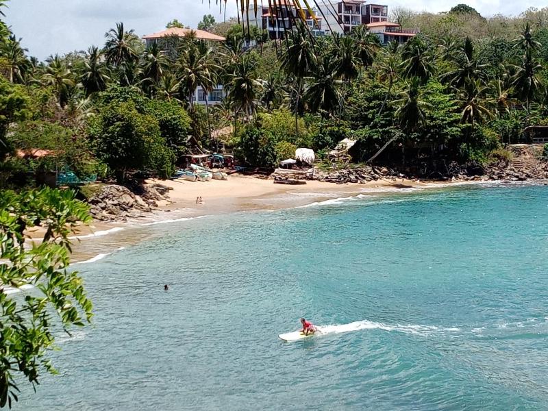 Surf Paradise 2 - image 20