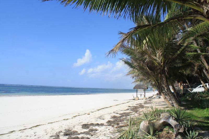 Diani Marine Divers Village - image 3