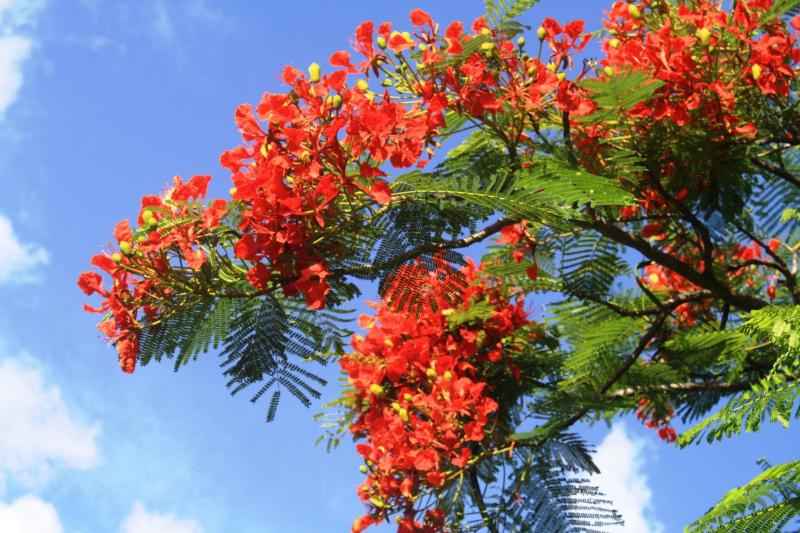 Diani Marine Divers Village - image 6