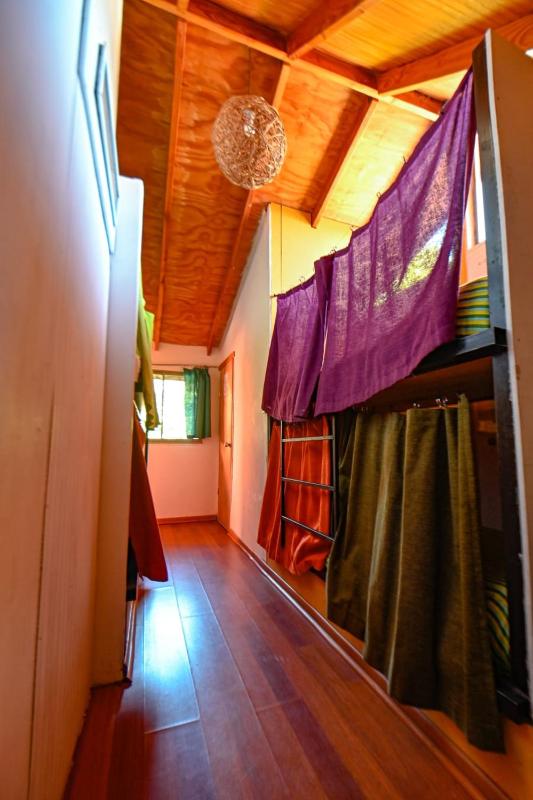 Gecko Hostel - image 30