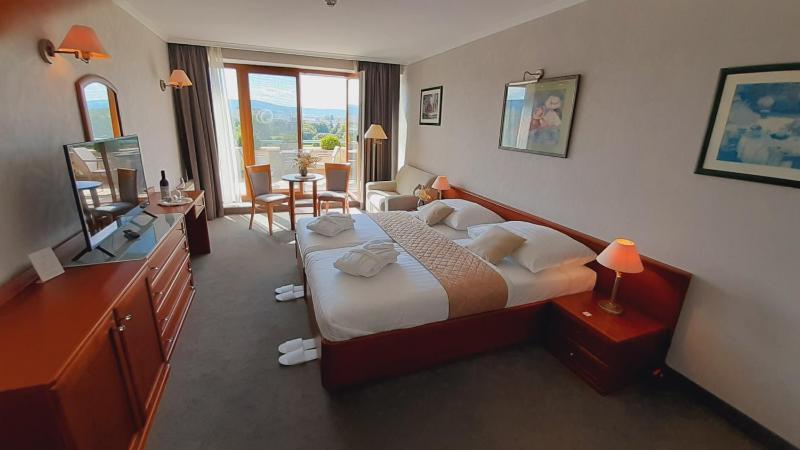 Deluxe Double or Twin Room with Balcony image 1