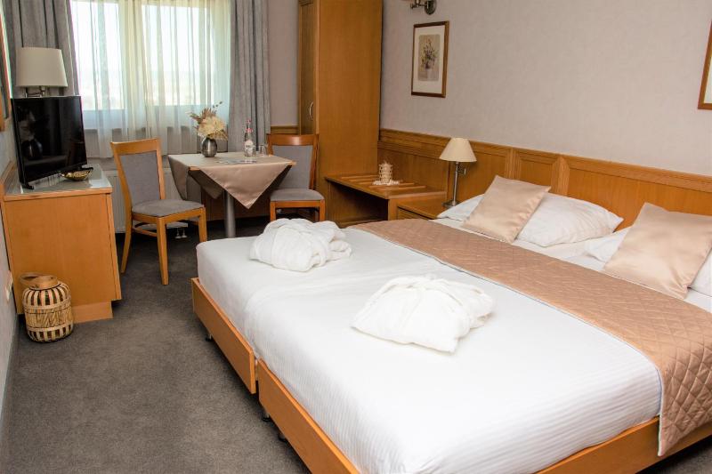 Standard Double Room image 4