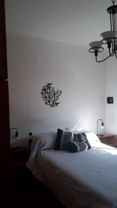 La casa del abuelo - image 15