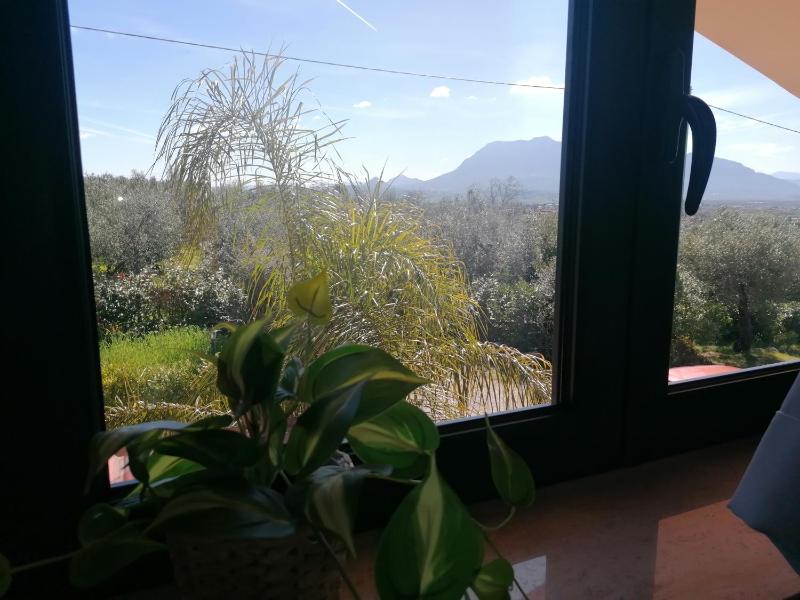 Standard Triple Room image 2