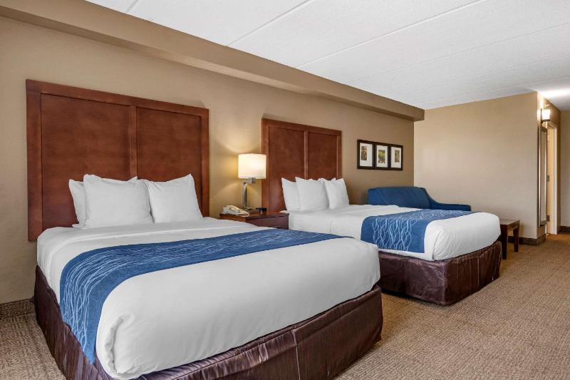 Queen Suite with Sofa Bed - Non-Smoking image 4