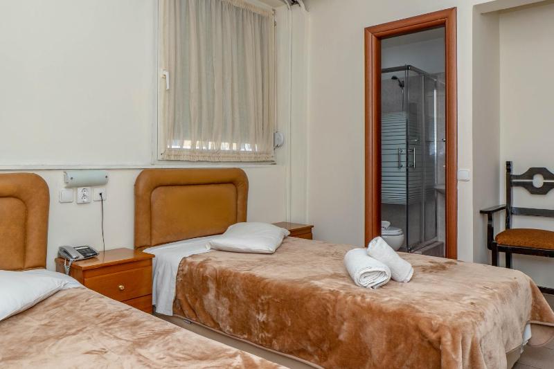 Double or Twin Room image 1