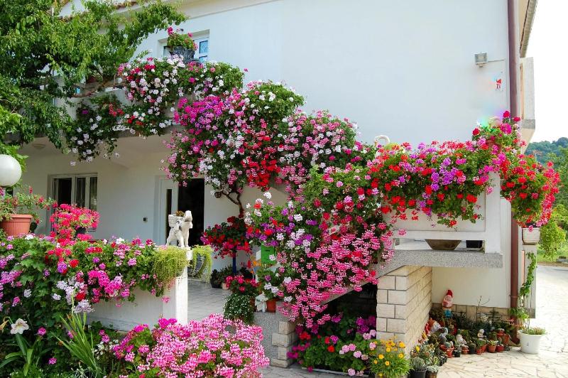 Apartments Rezika - image 14