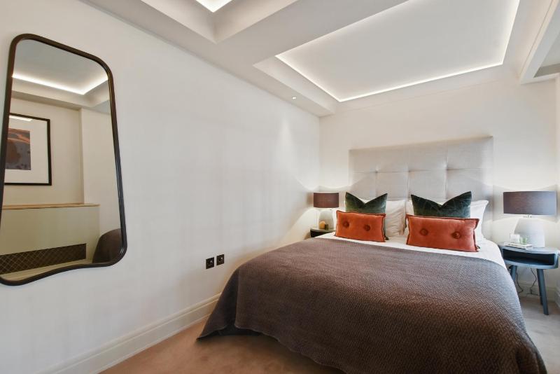 One-Bedroom Apartment image 4