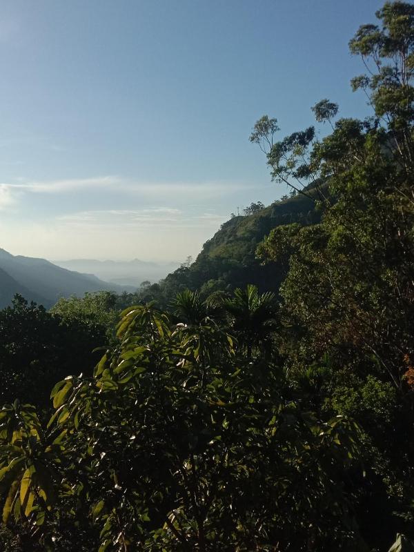 Charming View Homestay - image 19