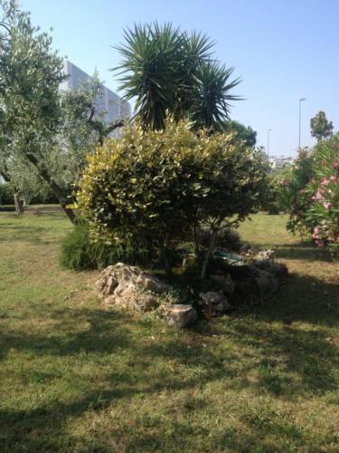 Double or Twin Room with Private Bathroom image 2