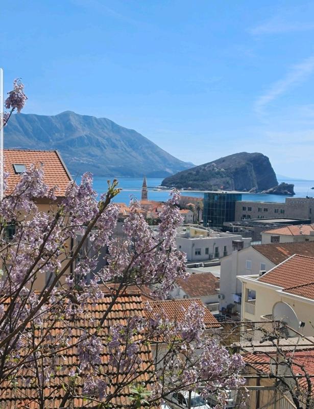 Studio Apartment with Sea View image 2