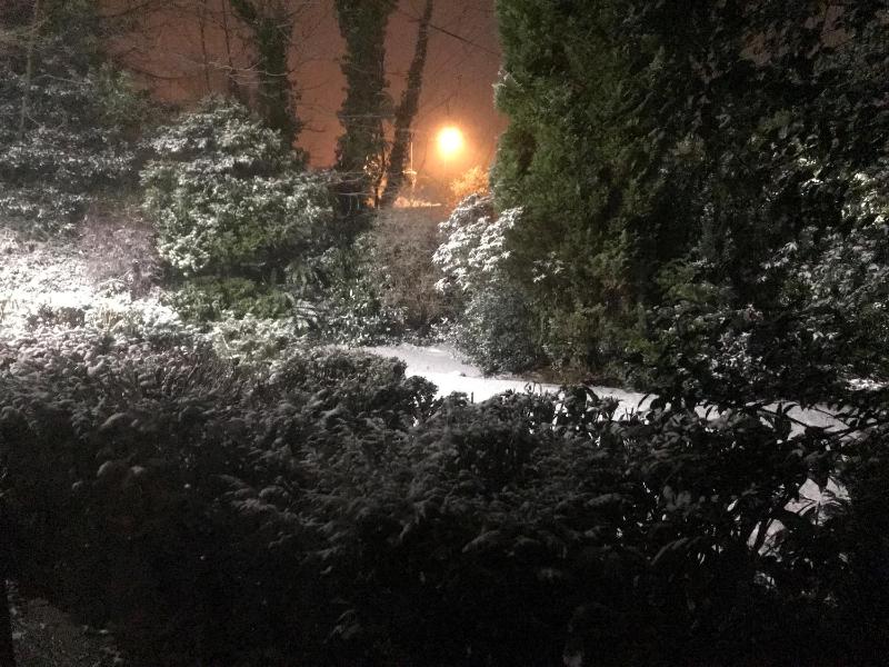 Deluxe Twin One-Bedroom Apartment image 1