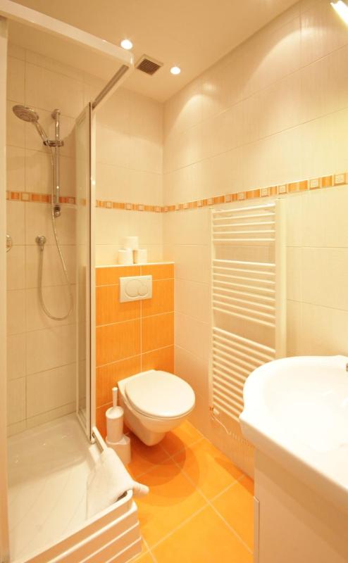 One-Bedroom Apartment image 4