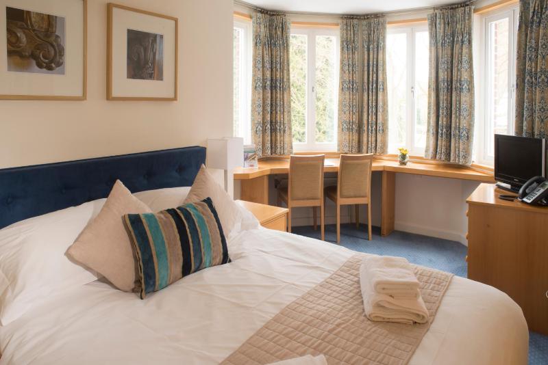 Standard  Double Room image 4