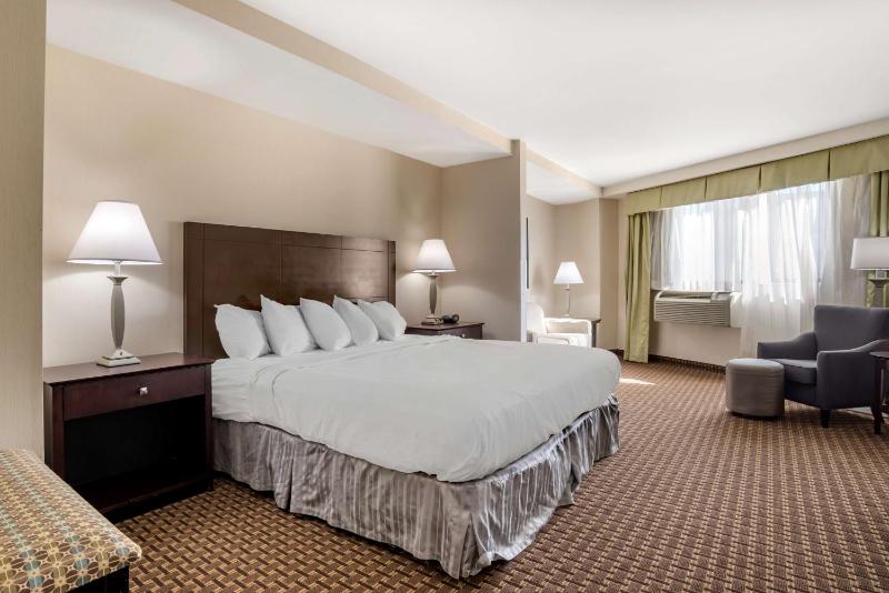 Business King Suite with Sofa Bed - Non-Smoking image 1