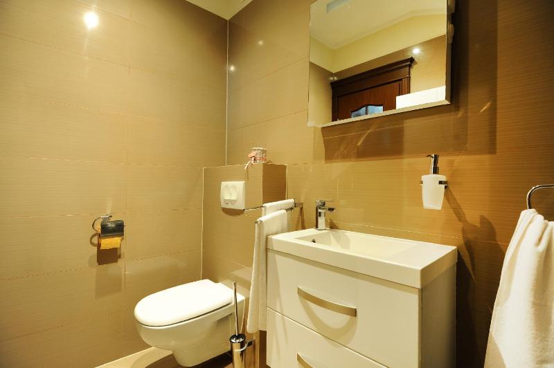 Deluxe Apartment (One Bedroom) image 3