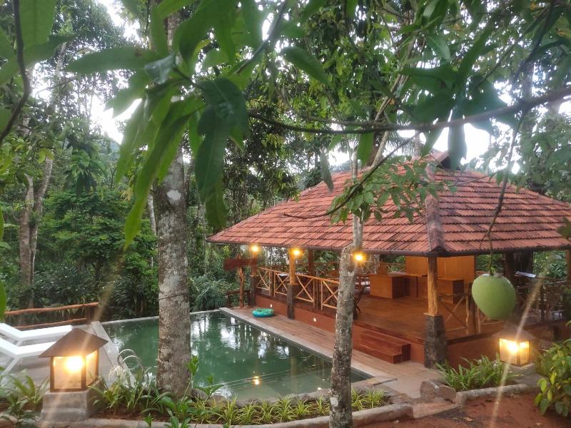 Beyond Eco Living - image 14