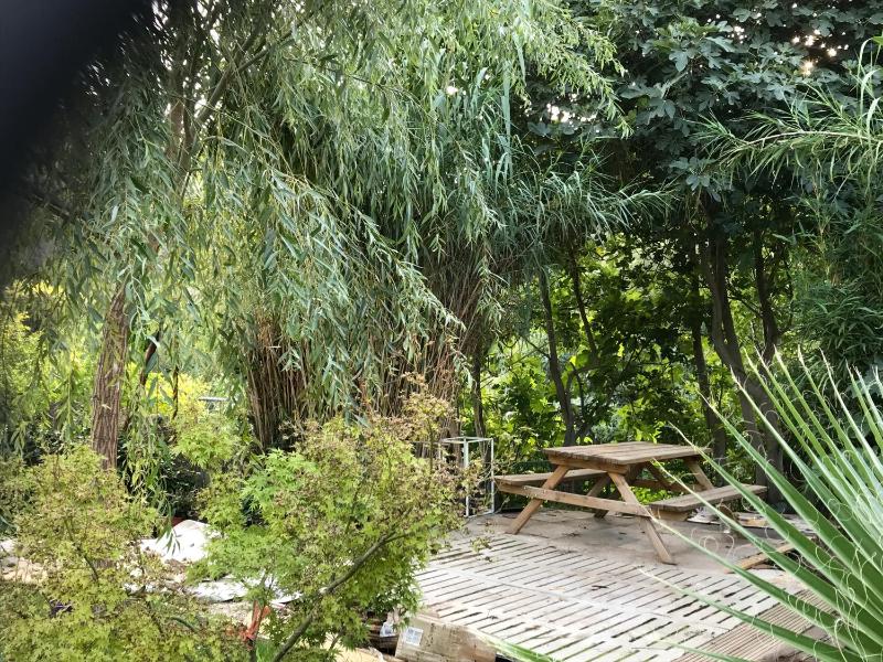 Studio image 3