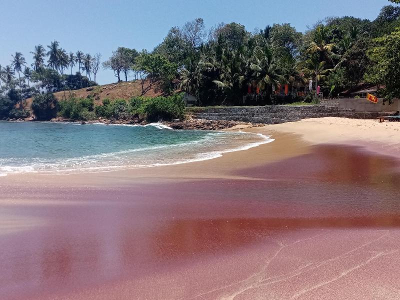 Surf Paradise 2 - image 1