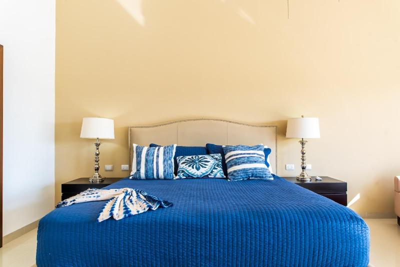 Casa Marbella Ocean View Penthouse apts - image 34
