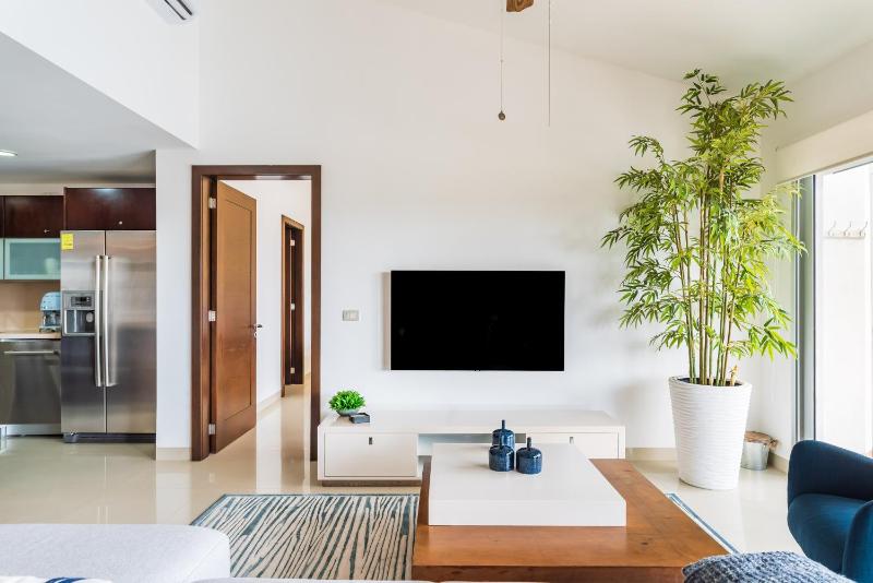 Casa Marbella Ocean View Penthouse apts - image 33