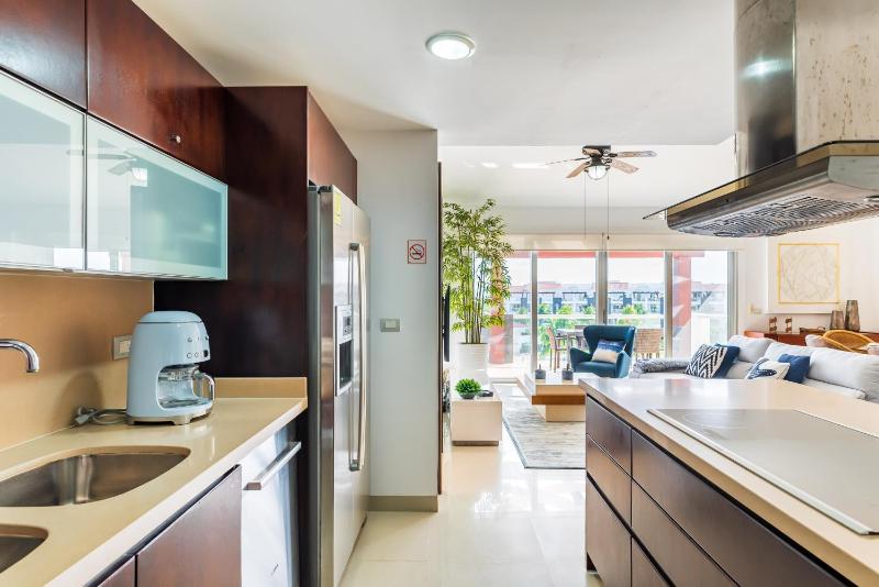 Casa Marbella Ocean View Penthouse apts - image 14