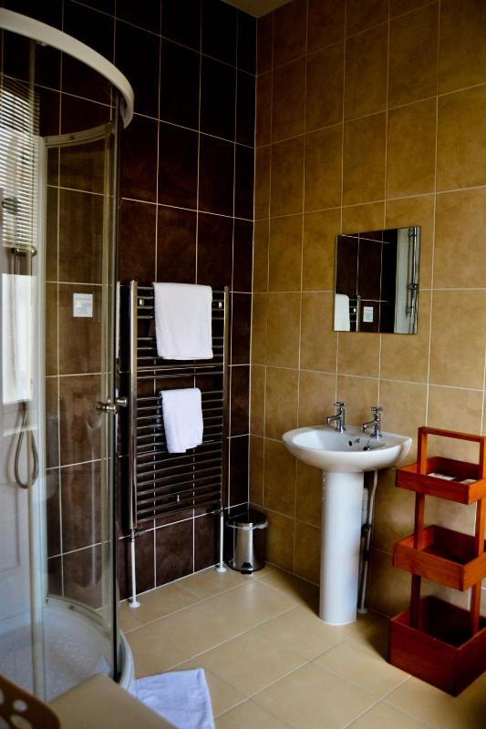 Single Room with Shower image 2