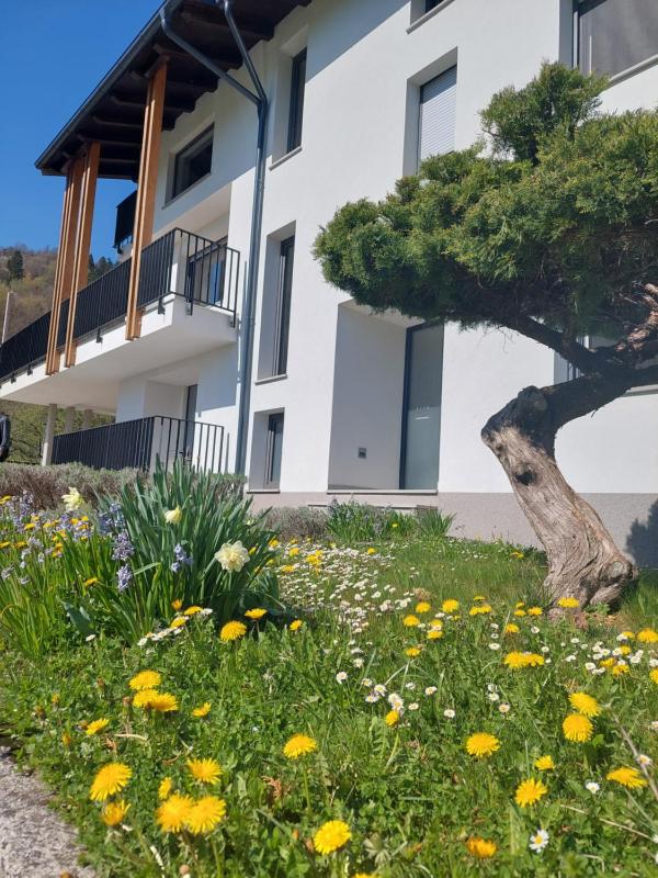 Apartment with Mountain View image 2