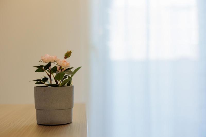 Fuori Rotta Rooms - image 7