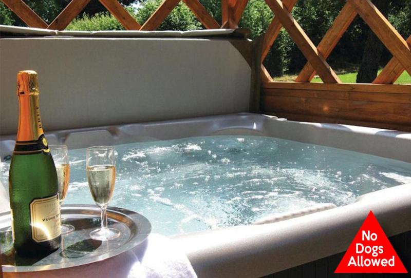 Holiday Home Teak 3 Hot Tub (No Pets) image 1