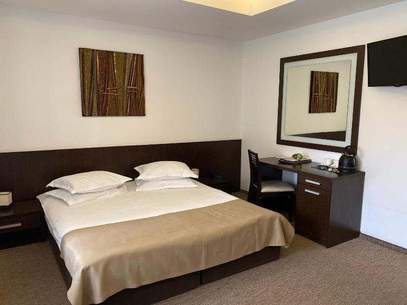 Superior Double Room image 3