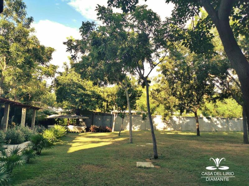 Hotel Casa de Lirio Diamante - image 45