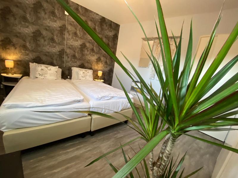 Comfort Double Room with Shower image 3