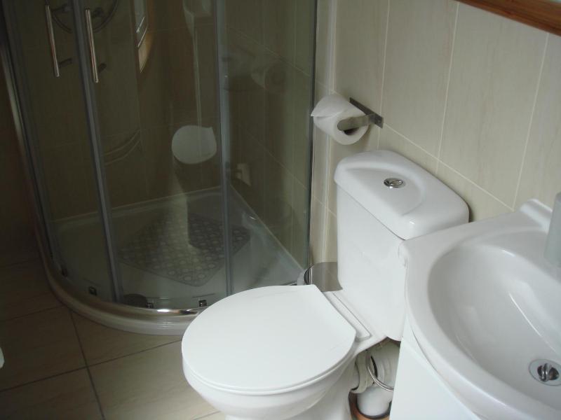 Standard Family Room image 4