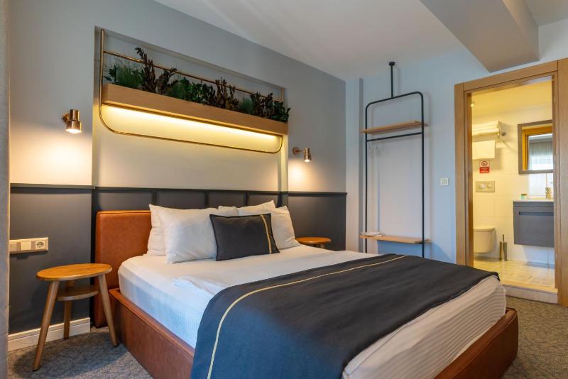 Deluxe Room image 3